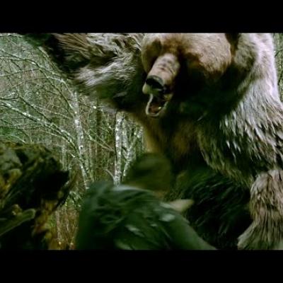 Ο James Marsden εναντίον μιας πολύ θυμωμένης αρκούδας στο «Into the Grizzly Maze»