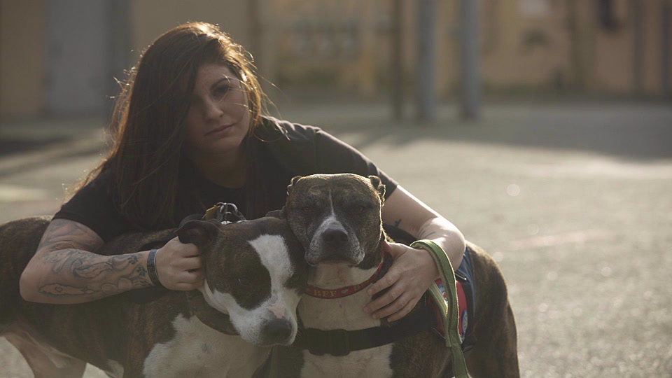 Κρυφή παρακολούθηση