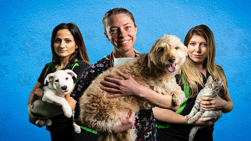 Ξεπερνώντας το Τραύμα