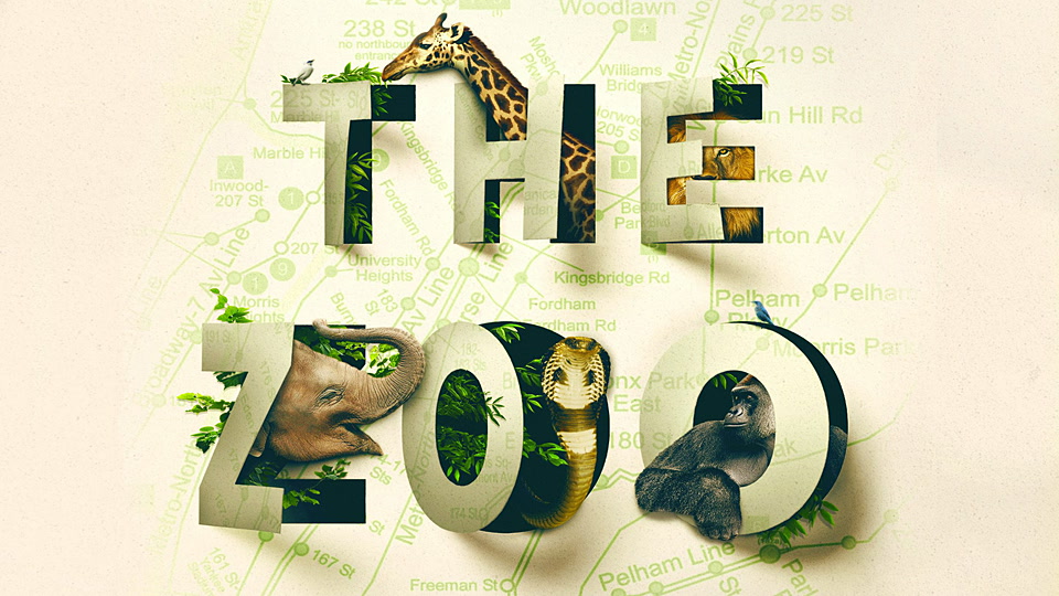 Ερωτευμένοι Πιγκουίνοι