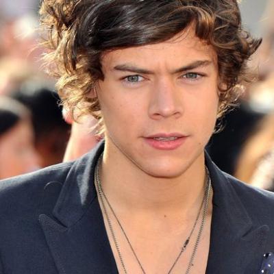 Ο Harry Styles gay;