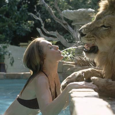Λιοντάρια ορμούν στη Melanie Griffith και την οικογένειά της στην πιο επικίνδυνη ταινία που γυρίστηκε ποτέ