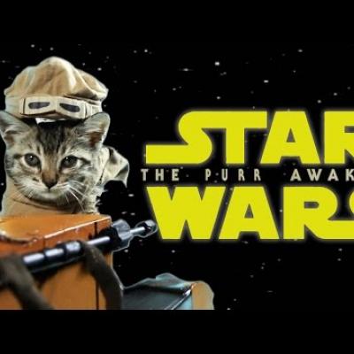 Το πρώτο trailer για το «Star Wars: The Force Awakens» τώρα με γάτες