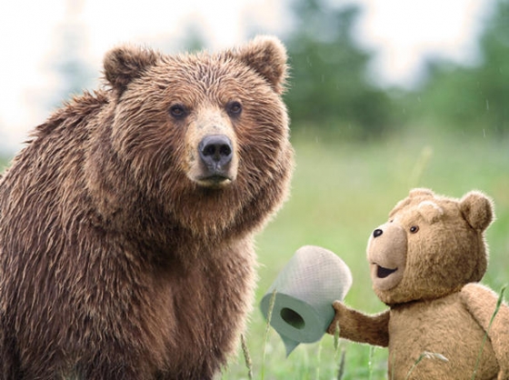 Ted 2