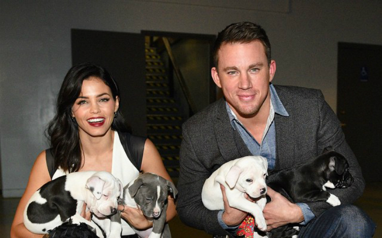 Χωρίζουν η Jenna Dewan Tatum και ο Channing Tatum