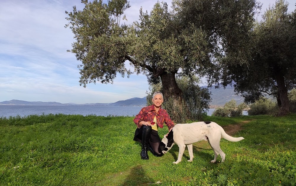 Καινούργια εκπομπή με την Ελένη Ψυχούλη στον ΣΚΑΪ.