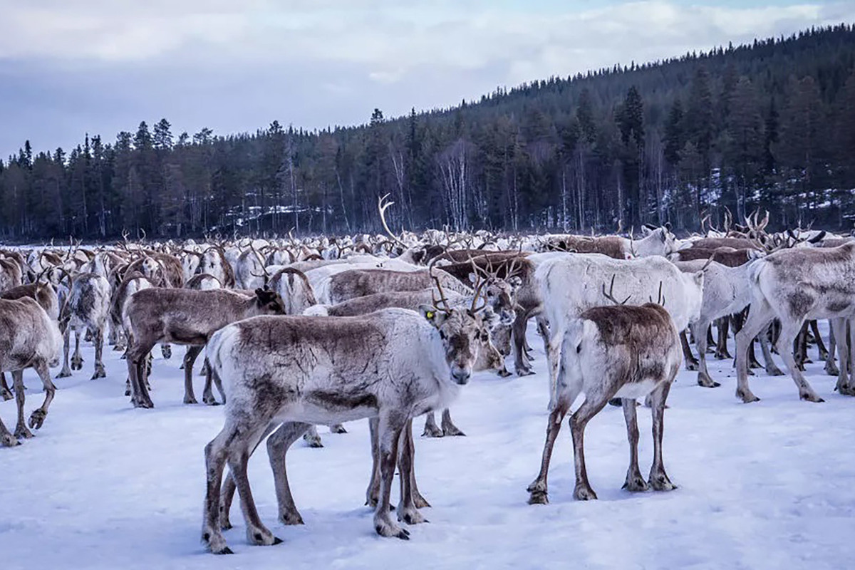 Η Γη του Χιονιού και του Πάγου