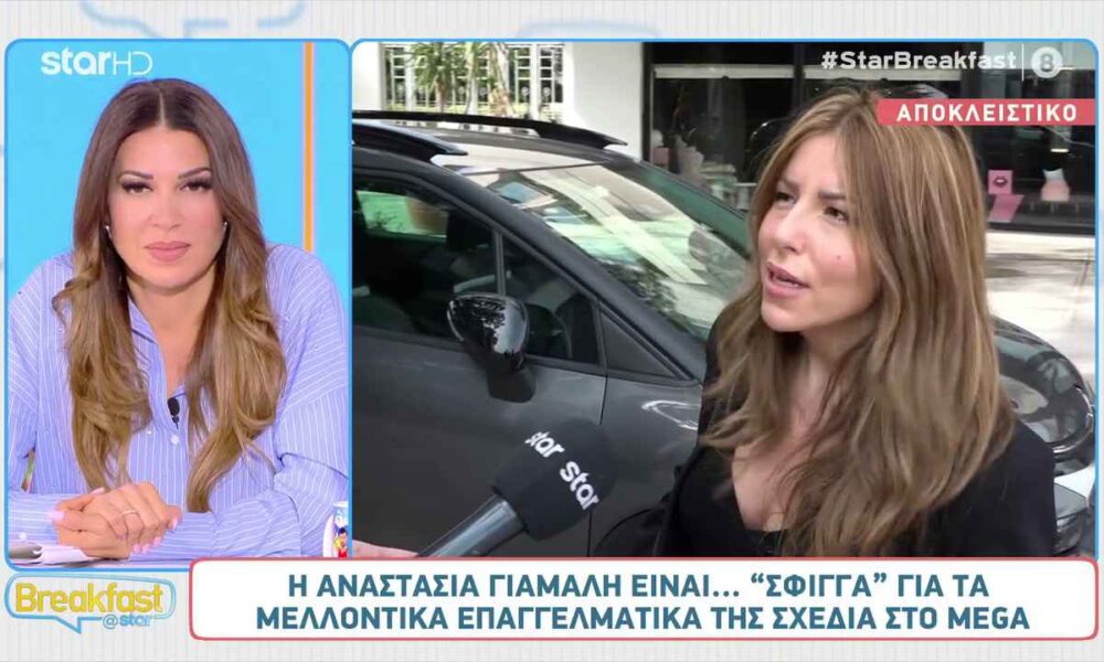 Αναστασία Γιάμαλη: «Το MEGA αποφασίζει τι θα κάνω»